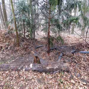 Brandeinsatz